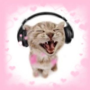 Meet your Posher, What